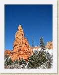 Bryce 010 * A blanket of snow over the red hoodoos near Bryce Canyon NP * A blanket of snow over the red hoodoos near Bryce Canyon NP * 2112 x 2816 * (3.37MB)